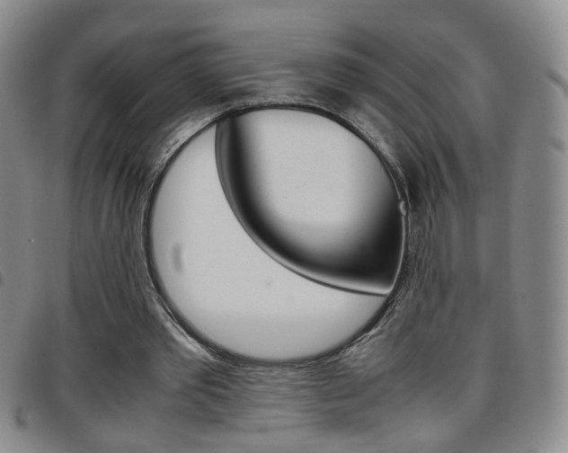 X0000097920389200803141035