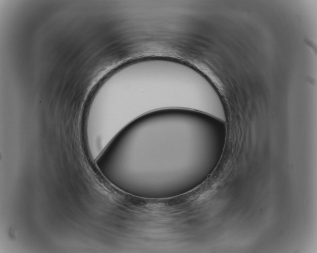 X0000097920391200803141035