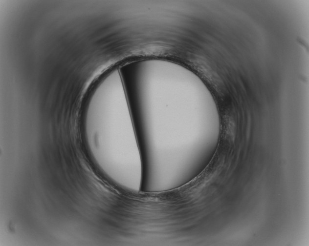 X0000097920392200803141035