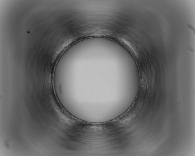 X0000097920394200803141035