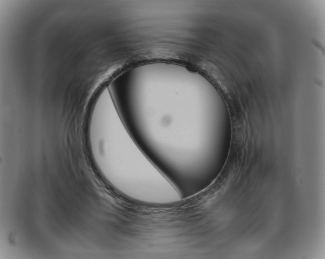 X0000097920395200803141035
