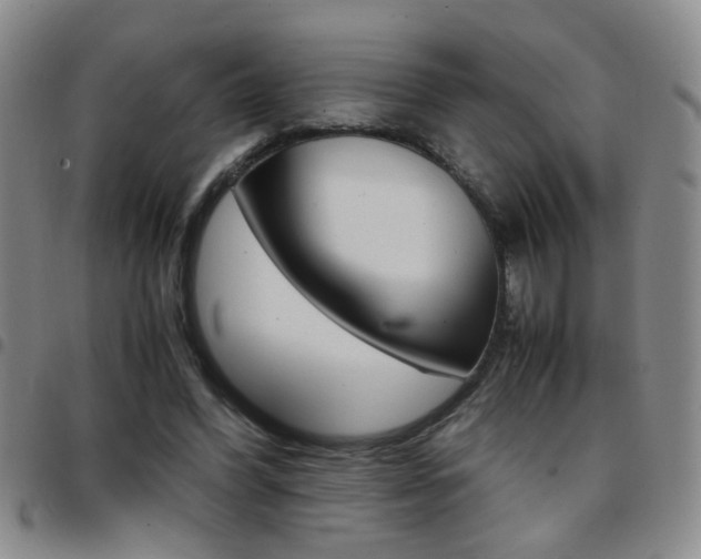 X0000097920396200803141035