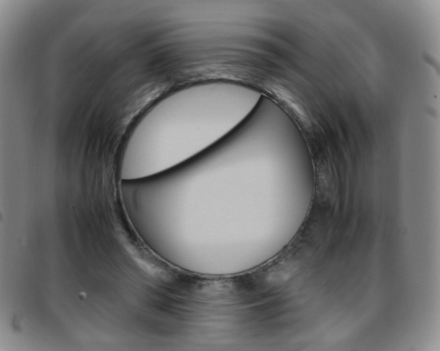 X0000097920398200803141035