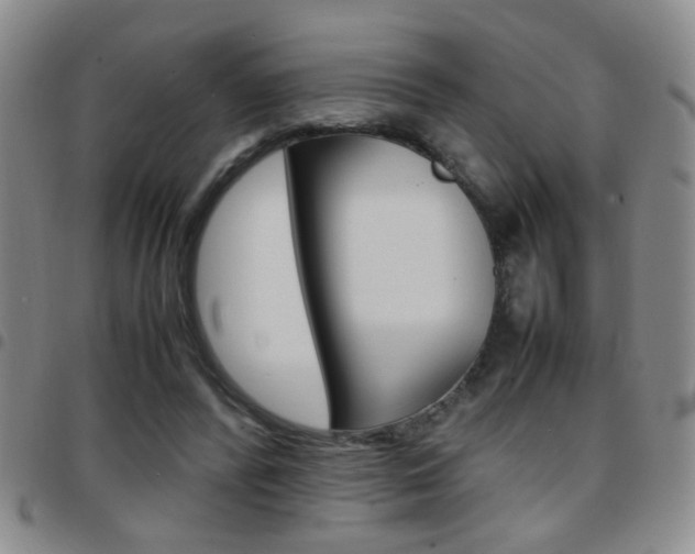 X0000097920400200803141035
