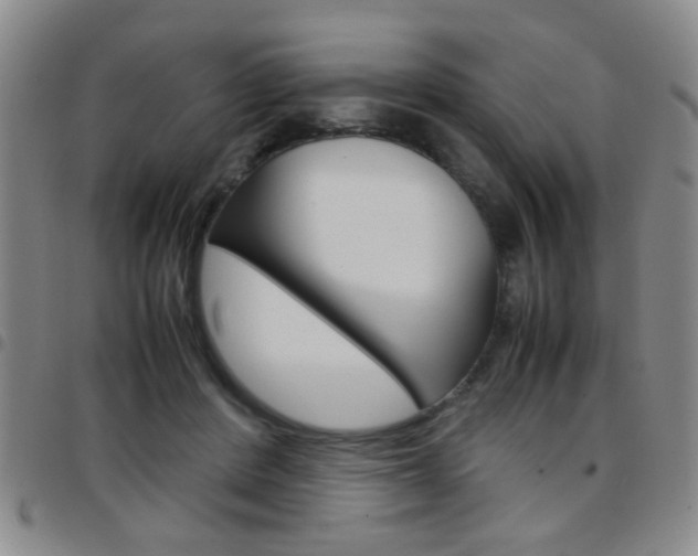 X0000097920408200803141035