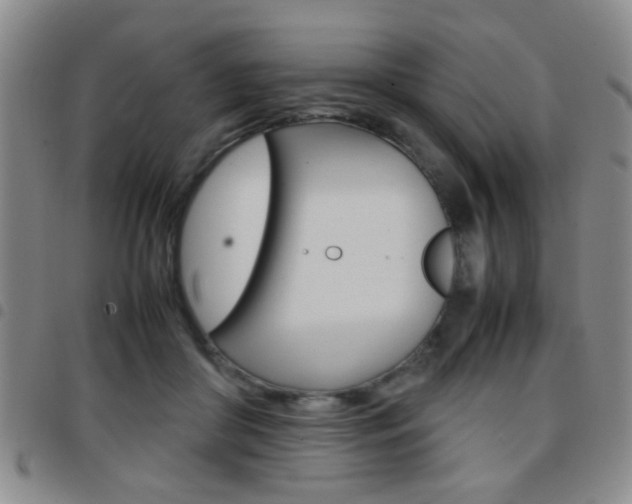 X0000097920410200803141035