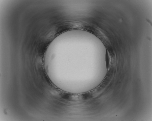 X0000097920415200803141035
