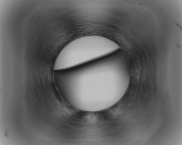 X0000097920416200803141035