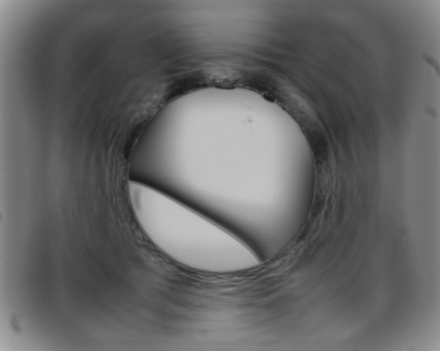 X0000097920417200803141035
