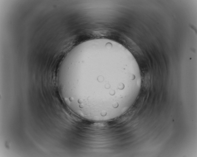 X0000097920418200803141035