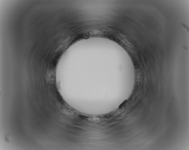 X0000097920419200803141035