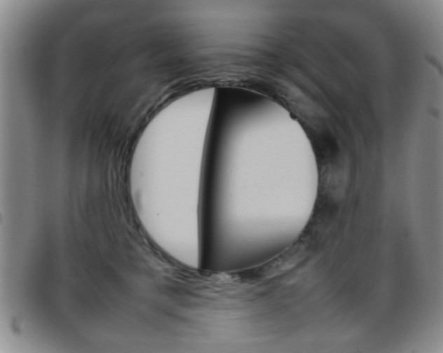 X0000097920421200803141035