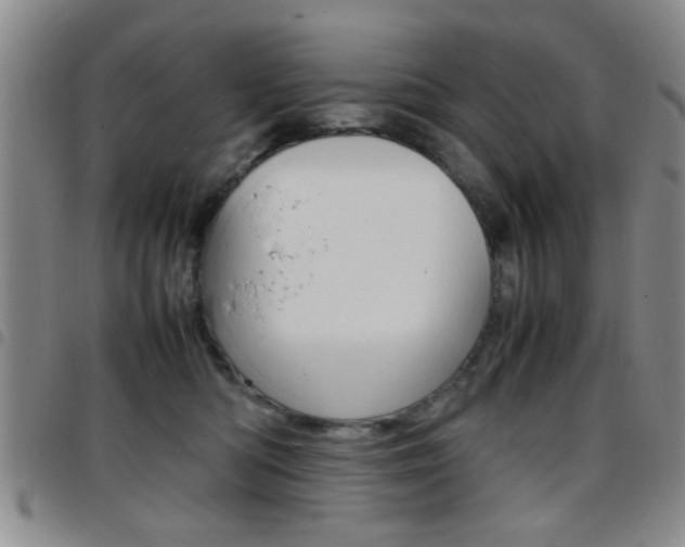 X0000097920422200803141035