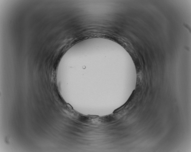 X0000097920423200803141035