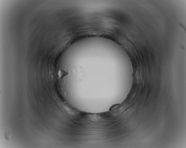 X0000097920424200803141035