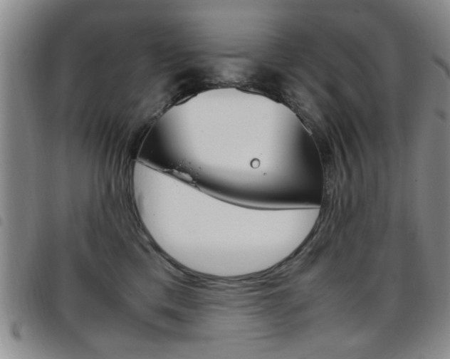 X0000097920425200803141035