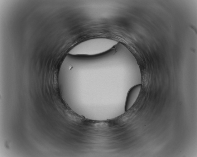 X0000097920426200803141035