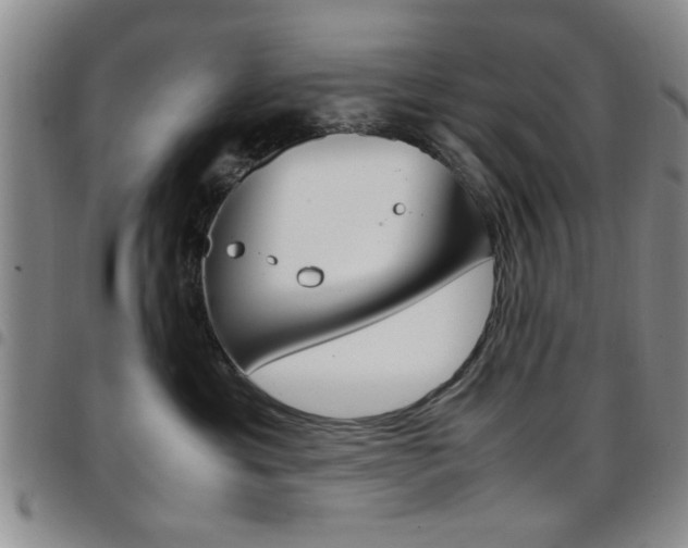 X0000097920429200803141035