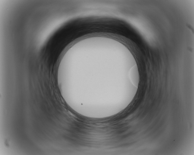 X0000097920431200803141035