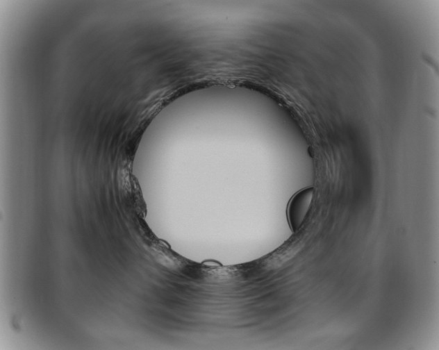 X0000097920432200803141035