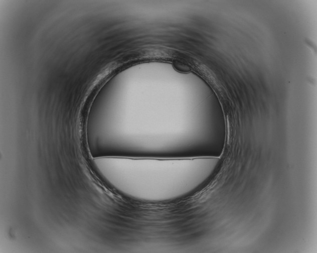X0000097920435200803141034
