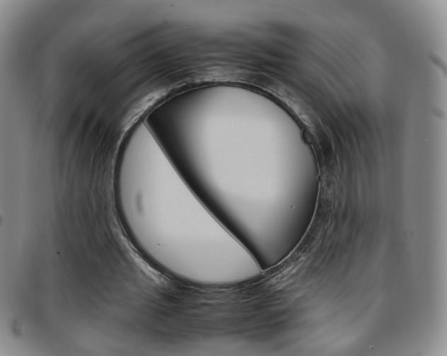 X0000097920437200803141034
