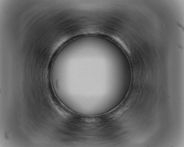 X0000097920439200803141034