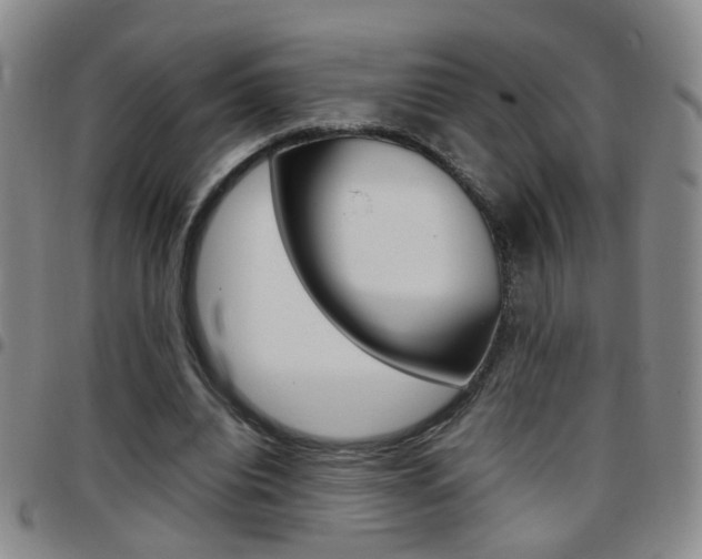 X0000097920440200803141034