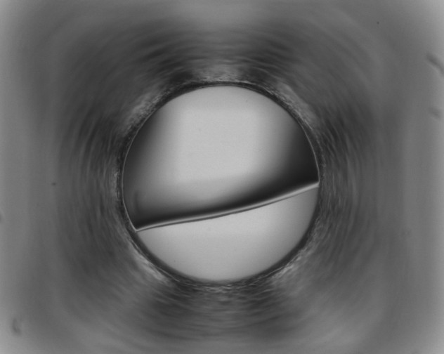 X0000097920441200803141034