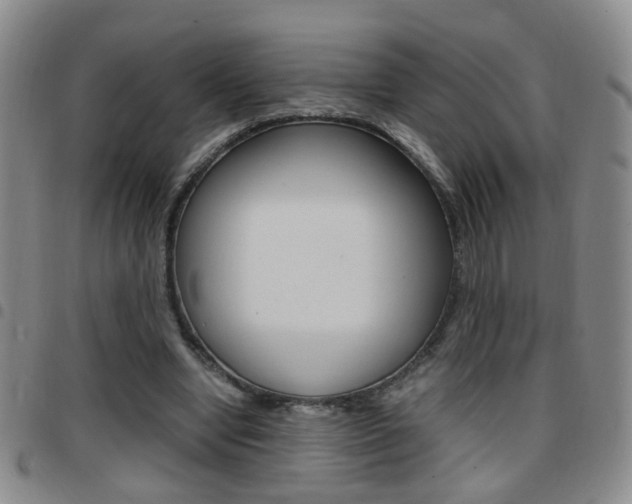 X0000097920442200803141034