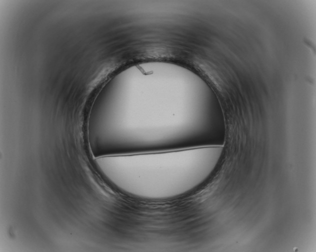 X0000097920443200803141034