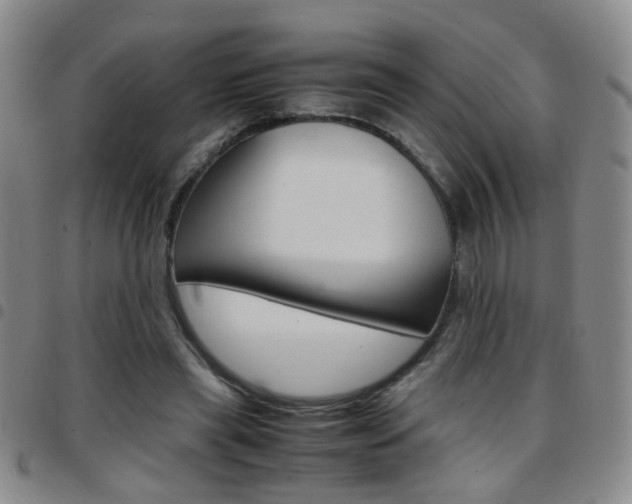 X0000097920445200803141034