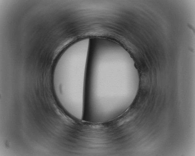 X0000097920446200803141034