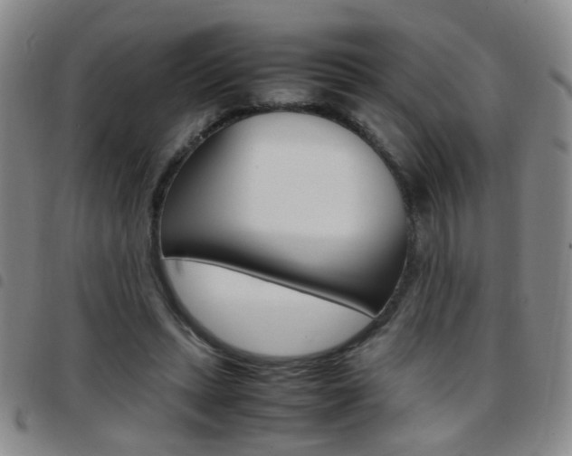X0000097920447200803141034
