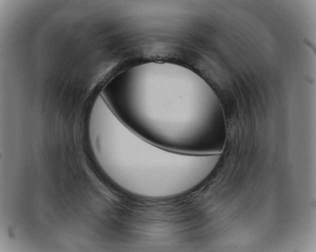 X0000097920448200803141034