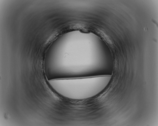 X0000097920449200803141034