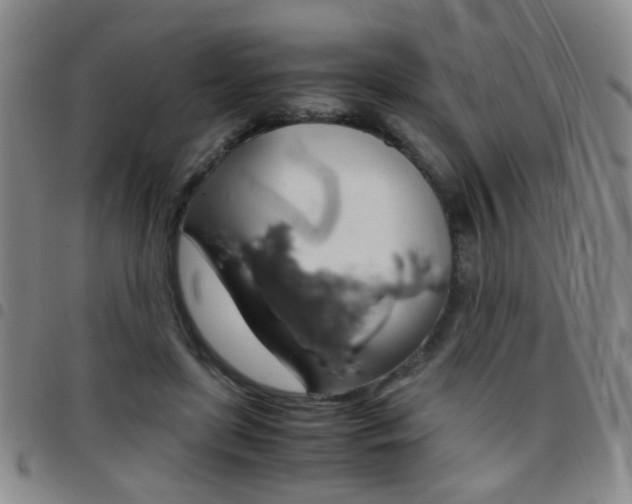 X0000097920451200803141034