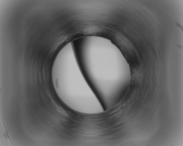 X0000097920452200803141034