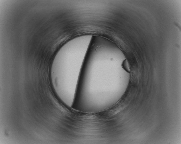 X0000097920454200803141034