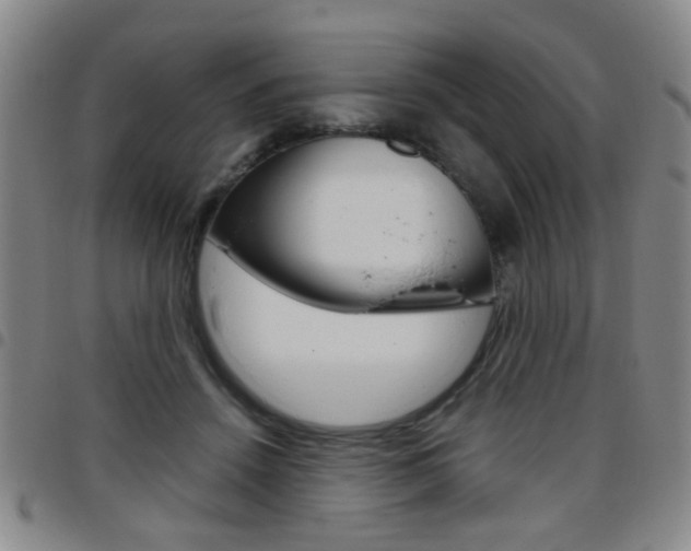 X0000097920456200803141034