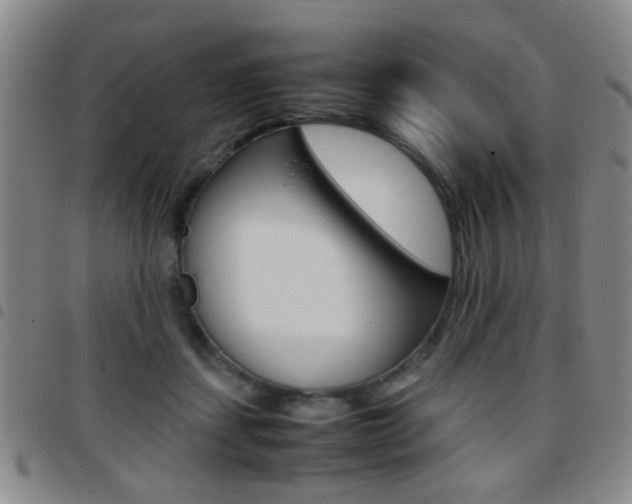 X0000097920459200803141034