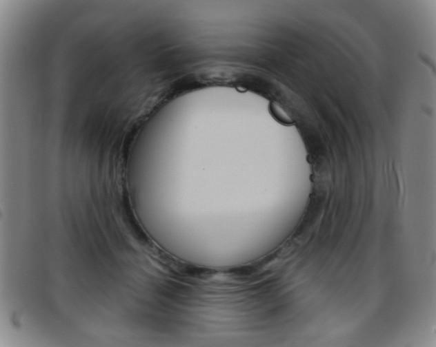 X0000097920460200803141034