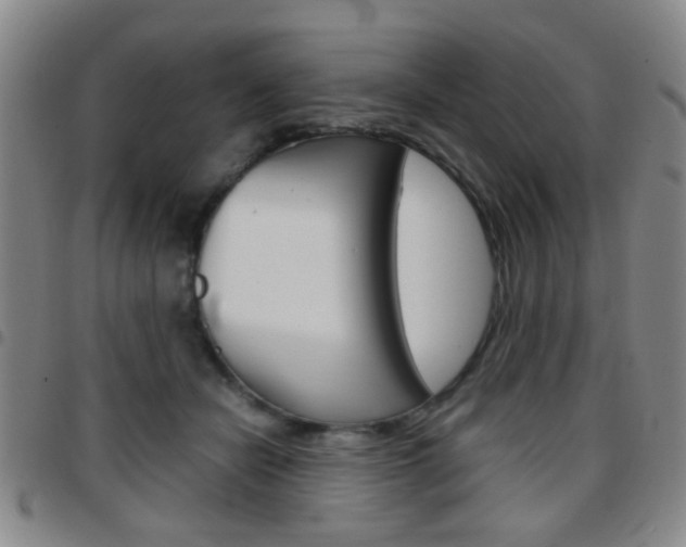 X0000097920462200803141034