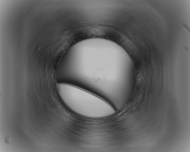 X0000097920464200803141034