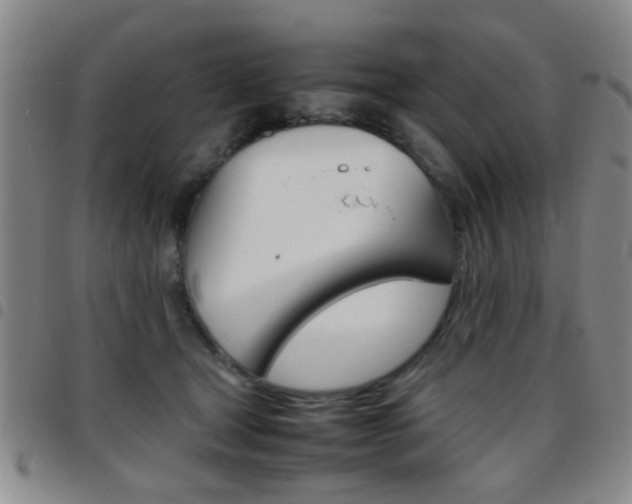 X0000097920465200803141034