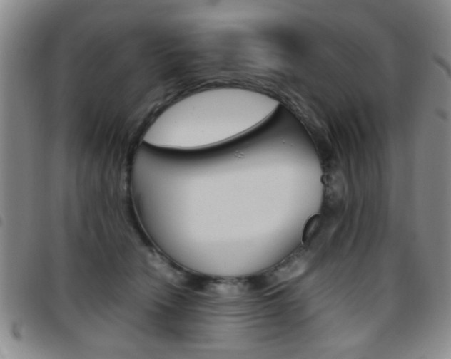 X0000097920466200803141034