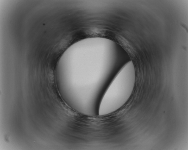 X0000097920469200803141035