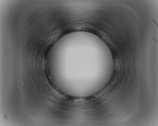 X0000097920470200803141035