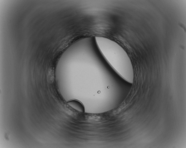 X0000097920471200803141035