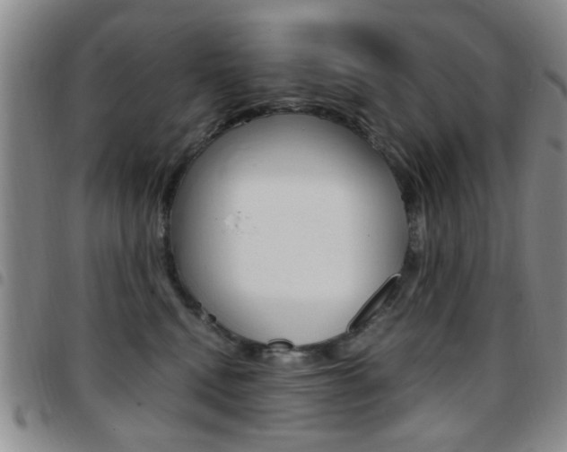 X0000097920472200803141035